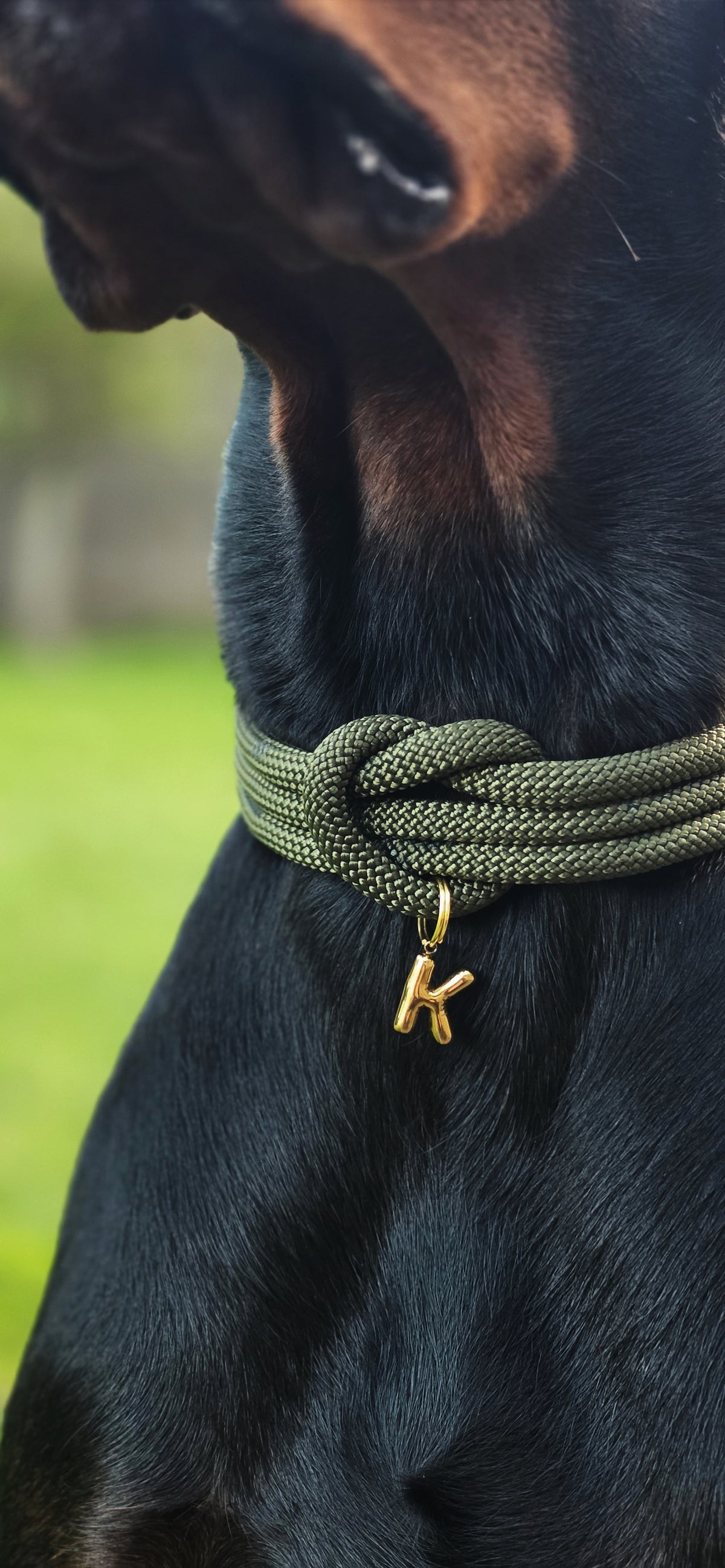 The Carrick Collar