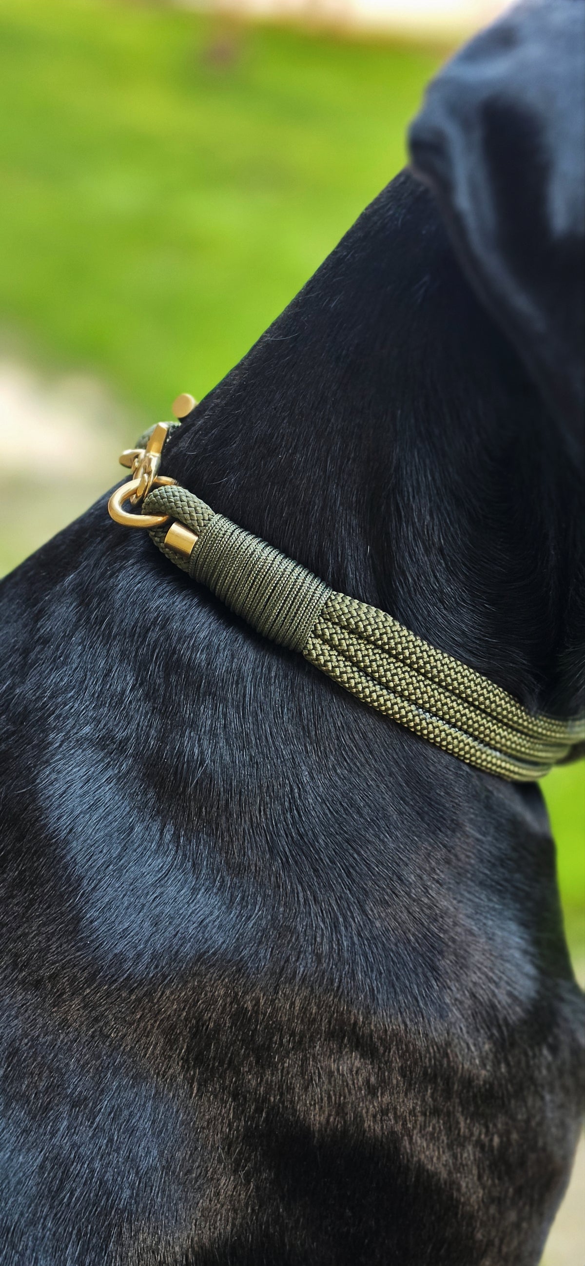 The Carrick Collar