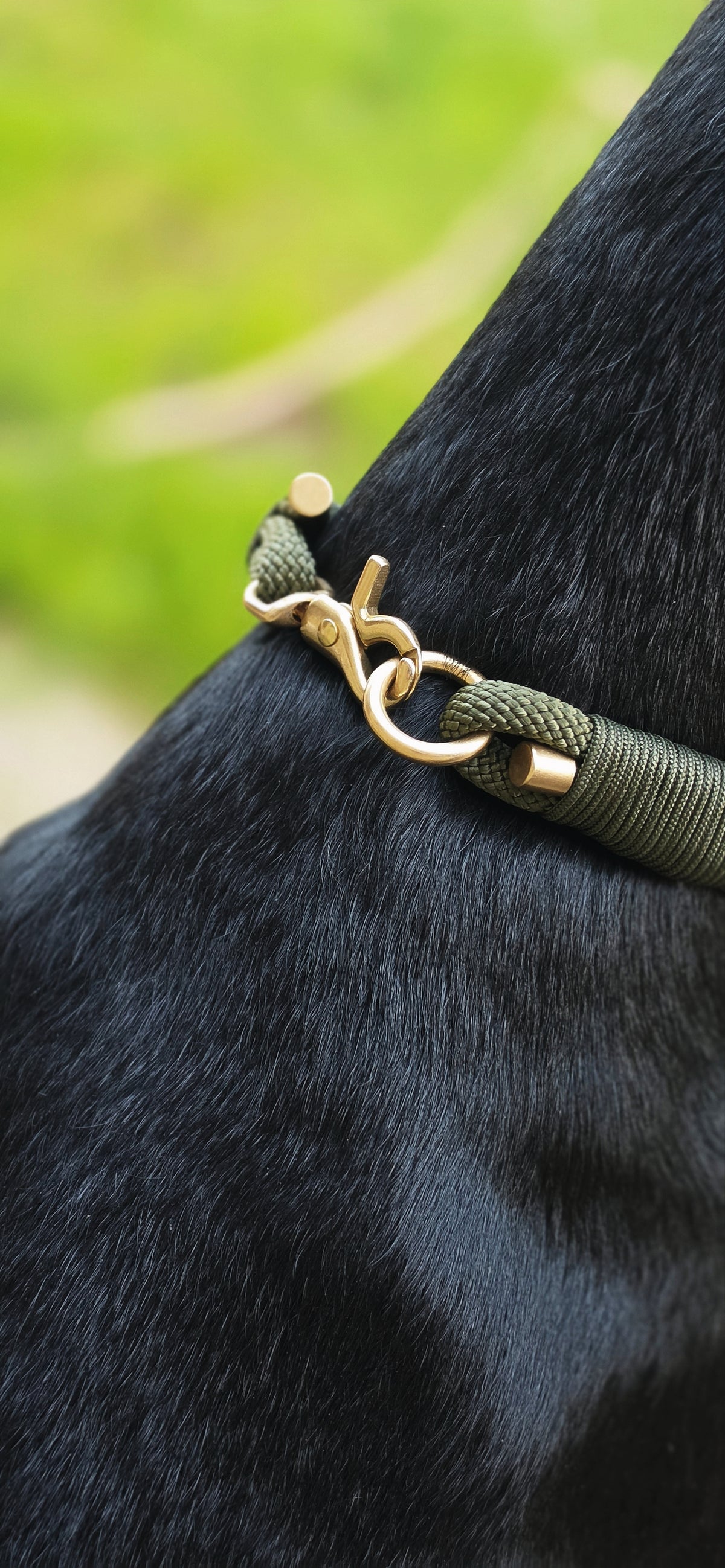 The Carrick Collar